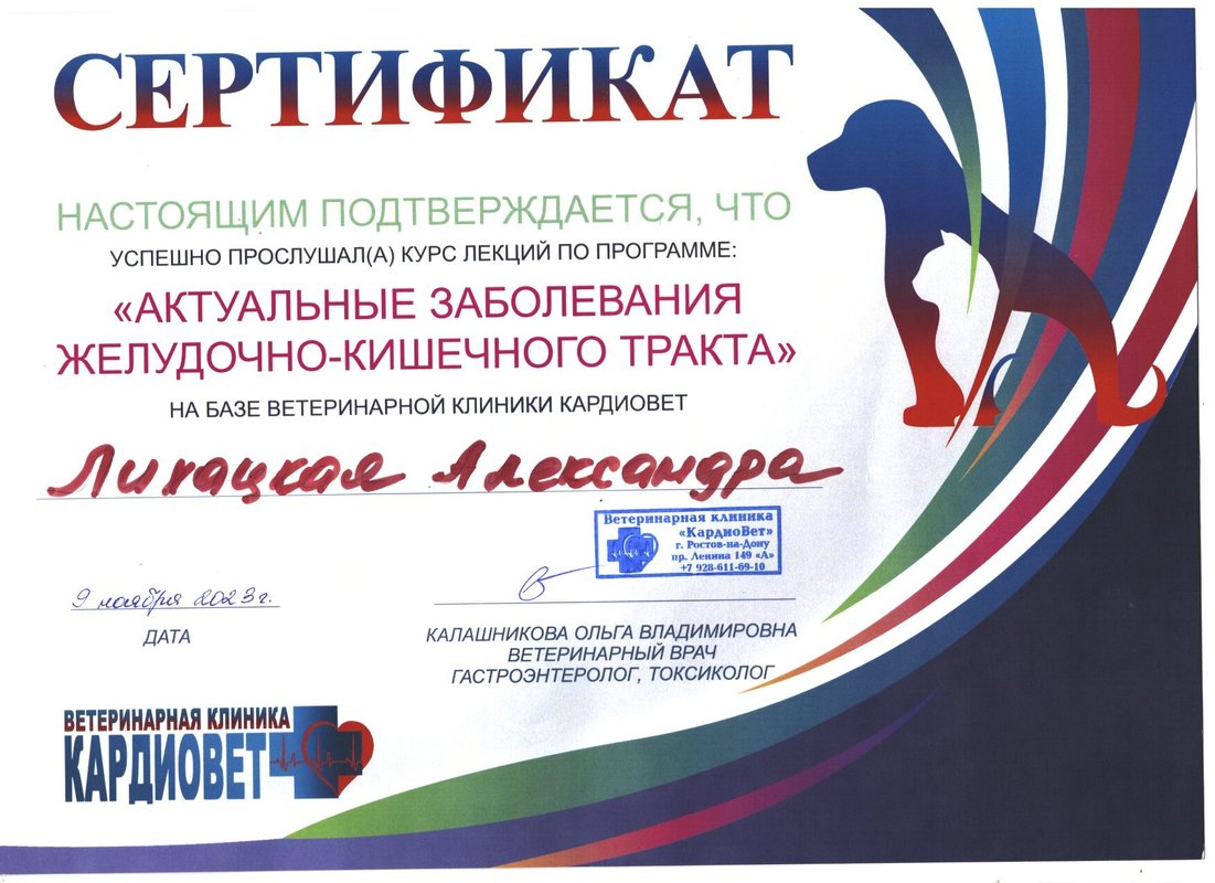 Документ или сертификат