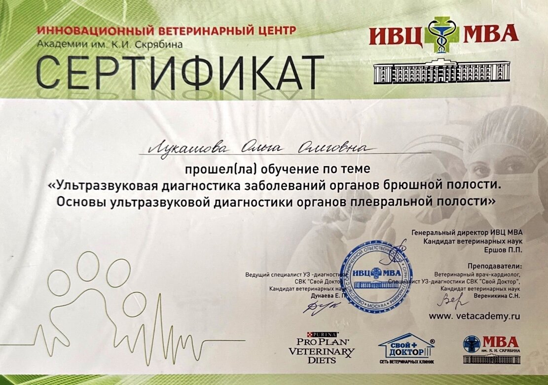 Документ или сертификат
