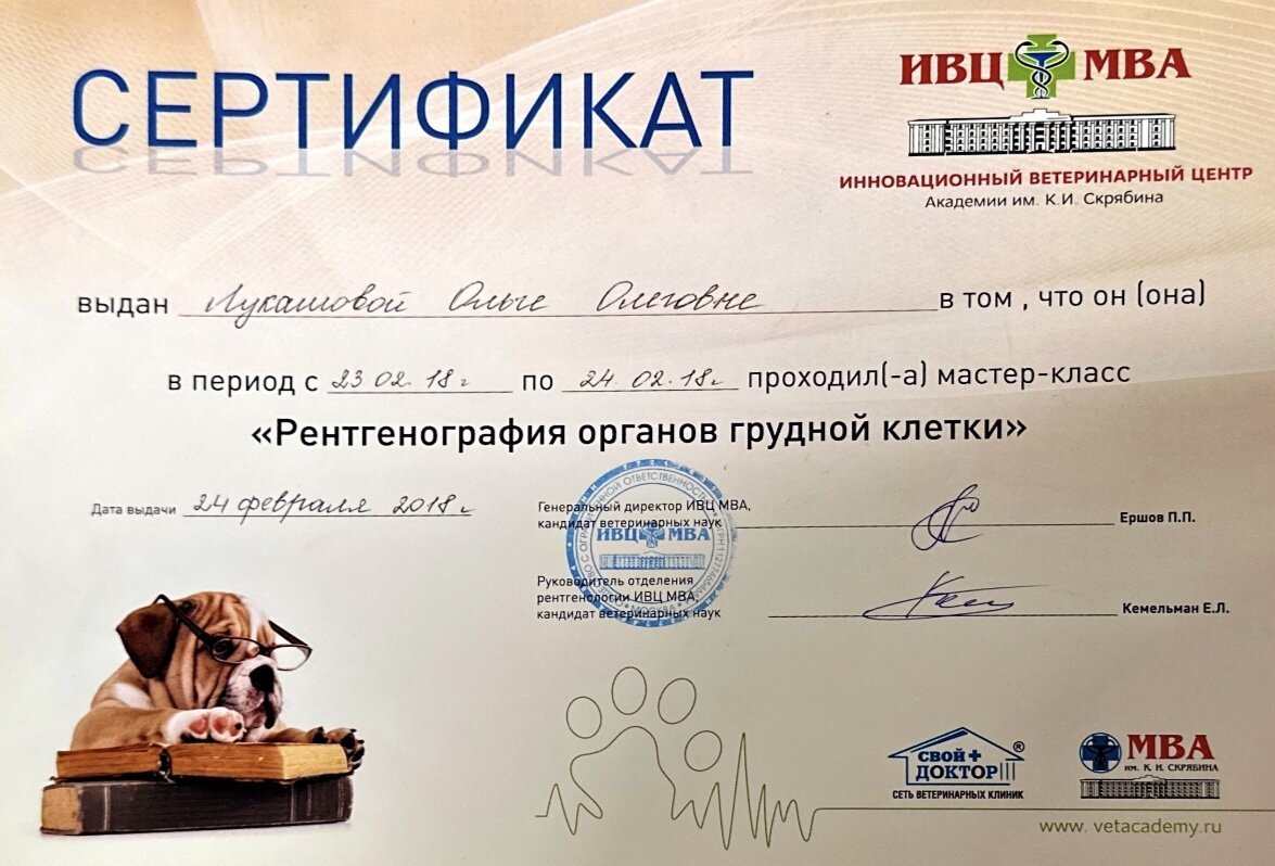 Документ или сертификат