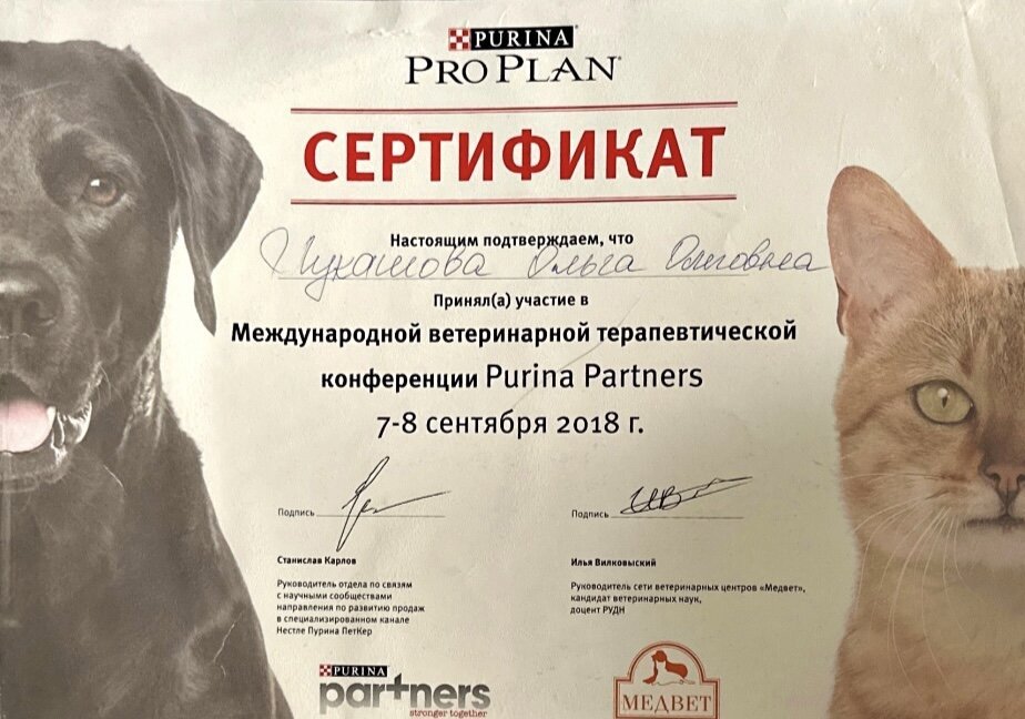 Документ или сертификат