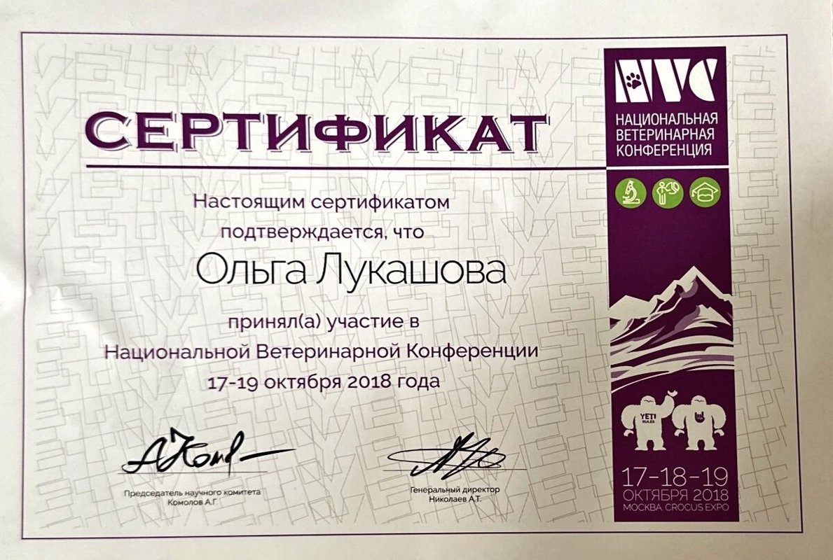 Документ или сертификат