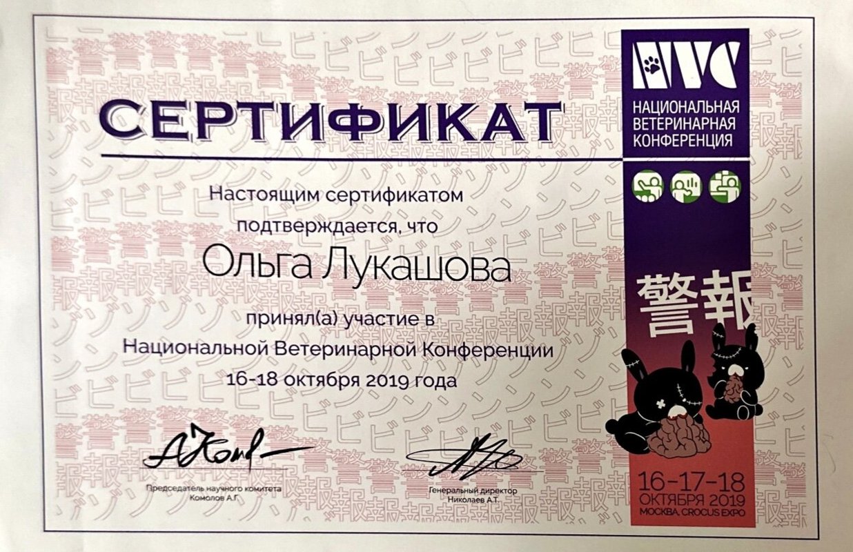 Документ или сертификат