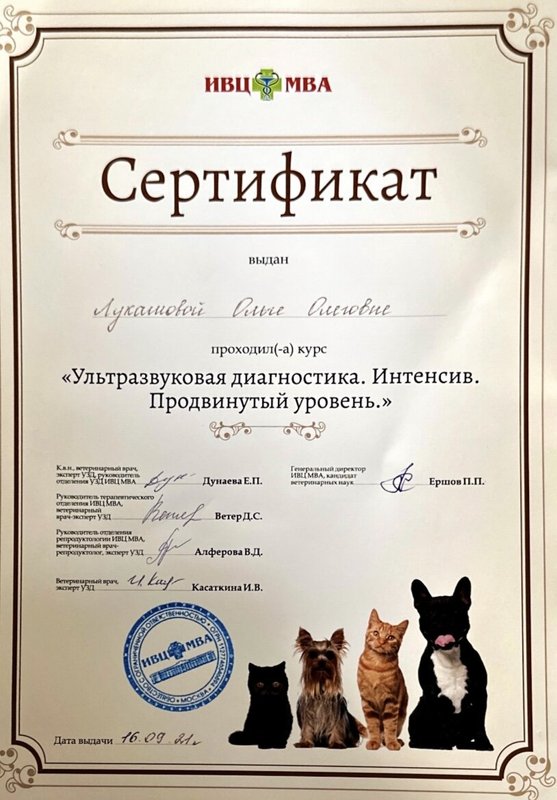 Документ или сертификат