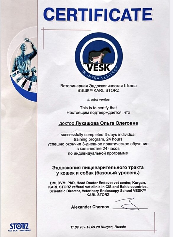 Документ или сертификат