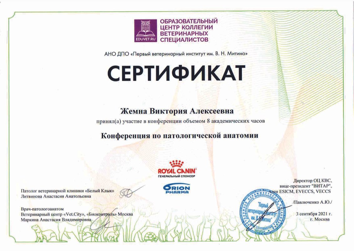 Документ или сертификат