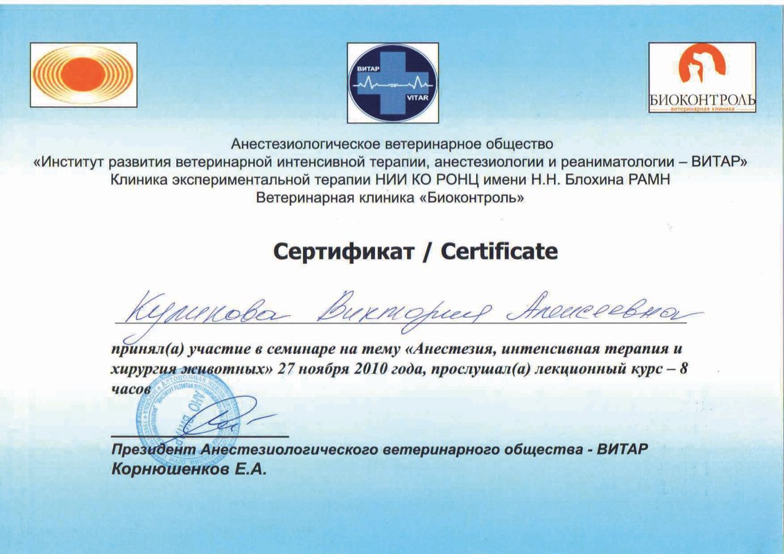 Документ или сертификат