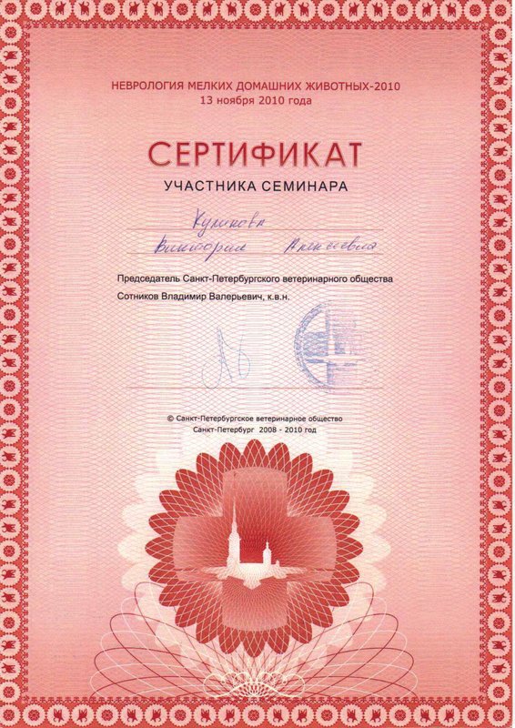 Документ или сертификат