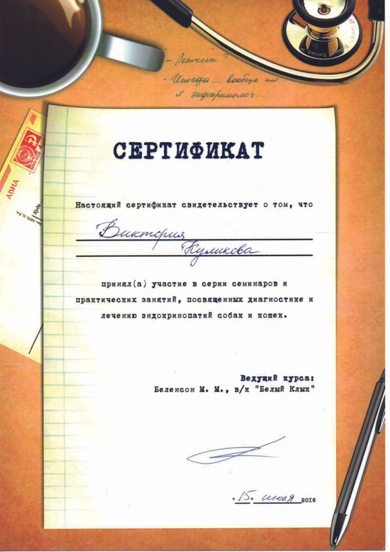 Документ или сертификат