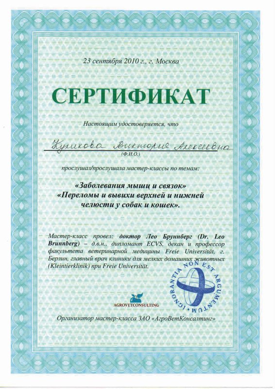 Документ или сертификат