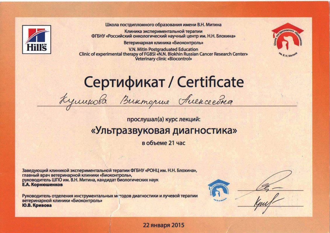 Документ или сертификат