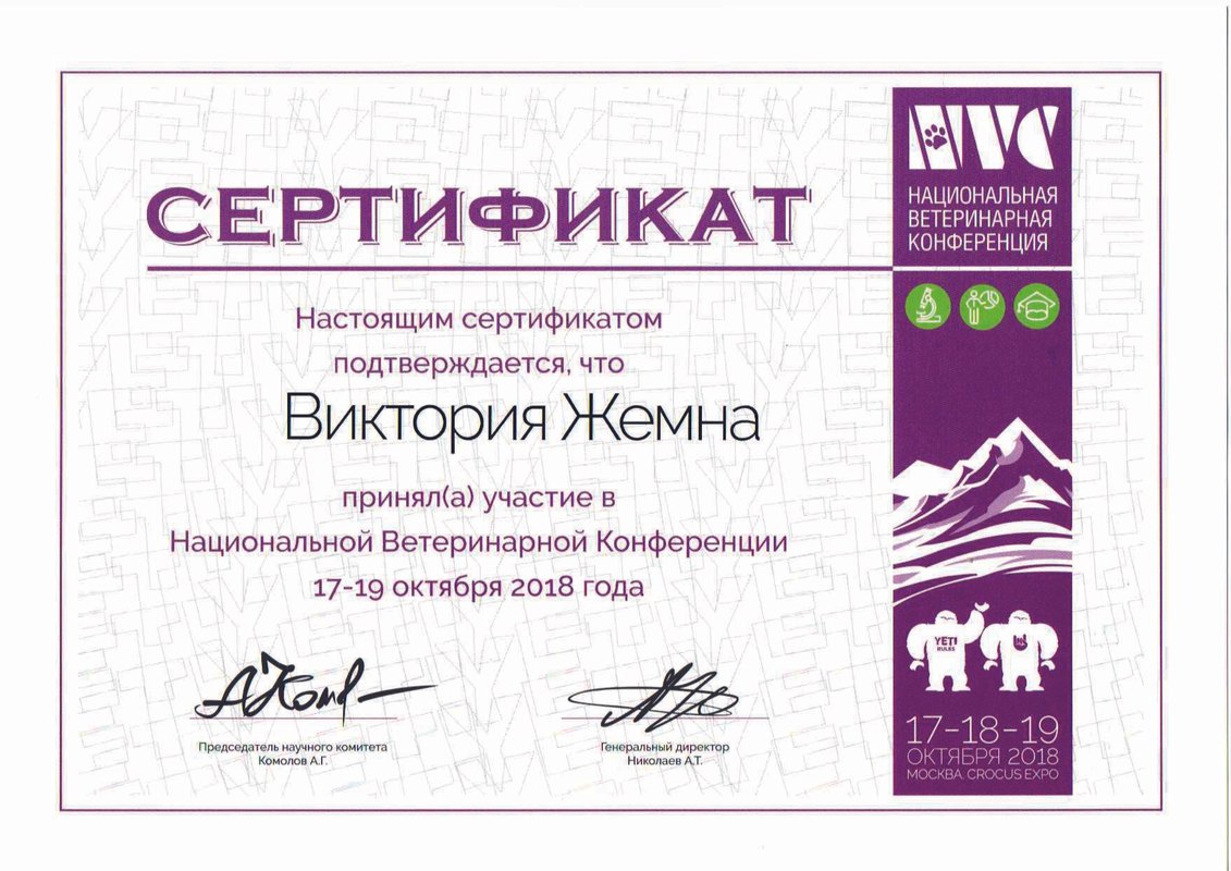 Документ или сертификат