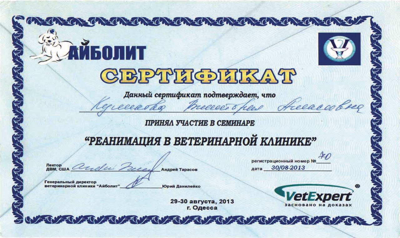 Документ или сертификат