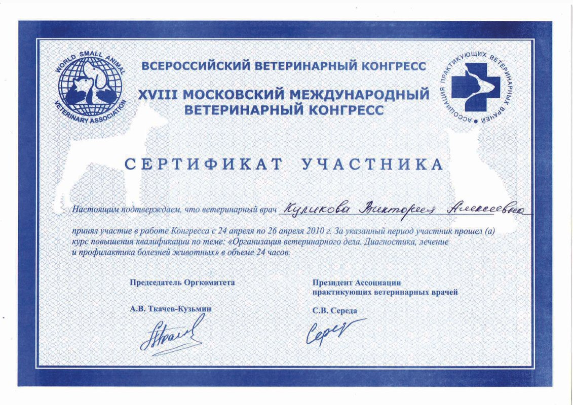 Документ или сертификат