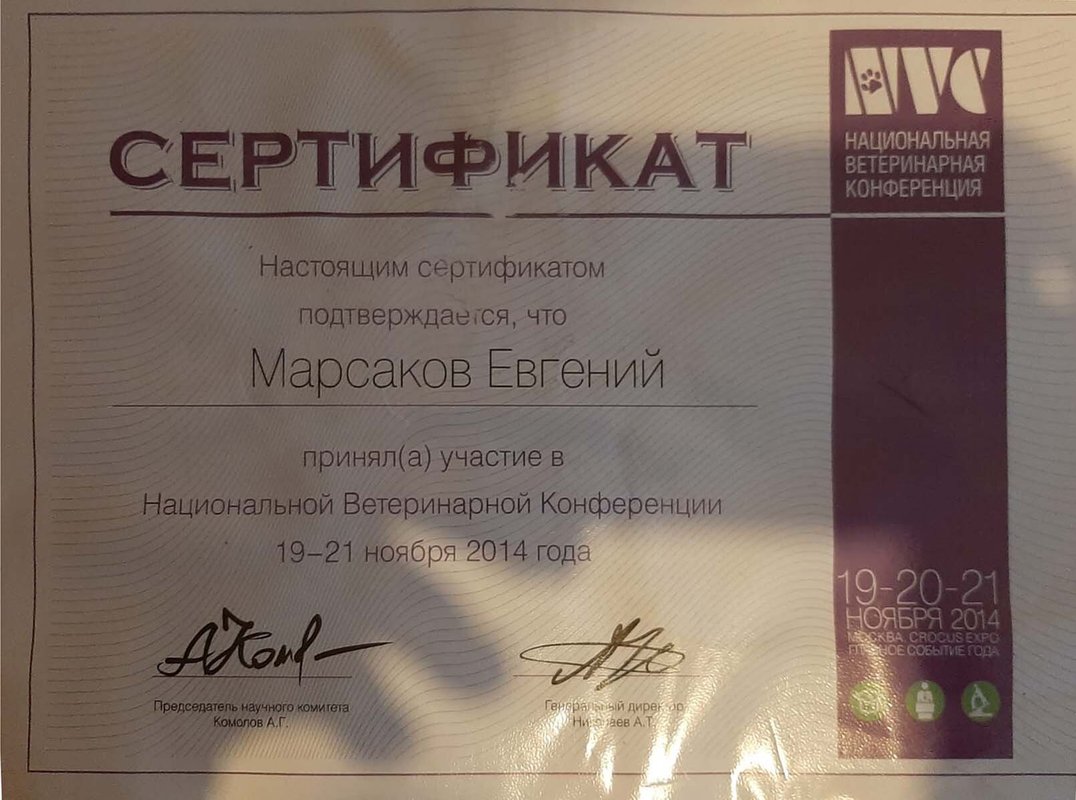 Документ или сертификат