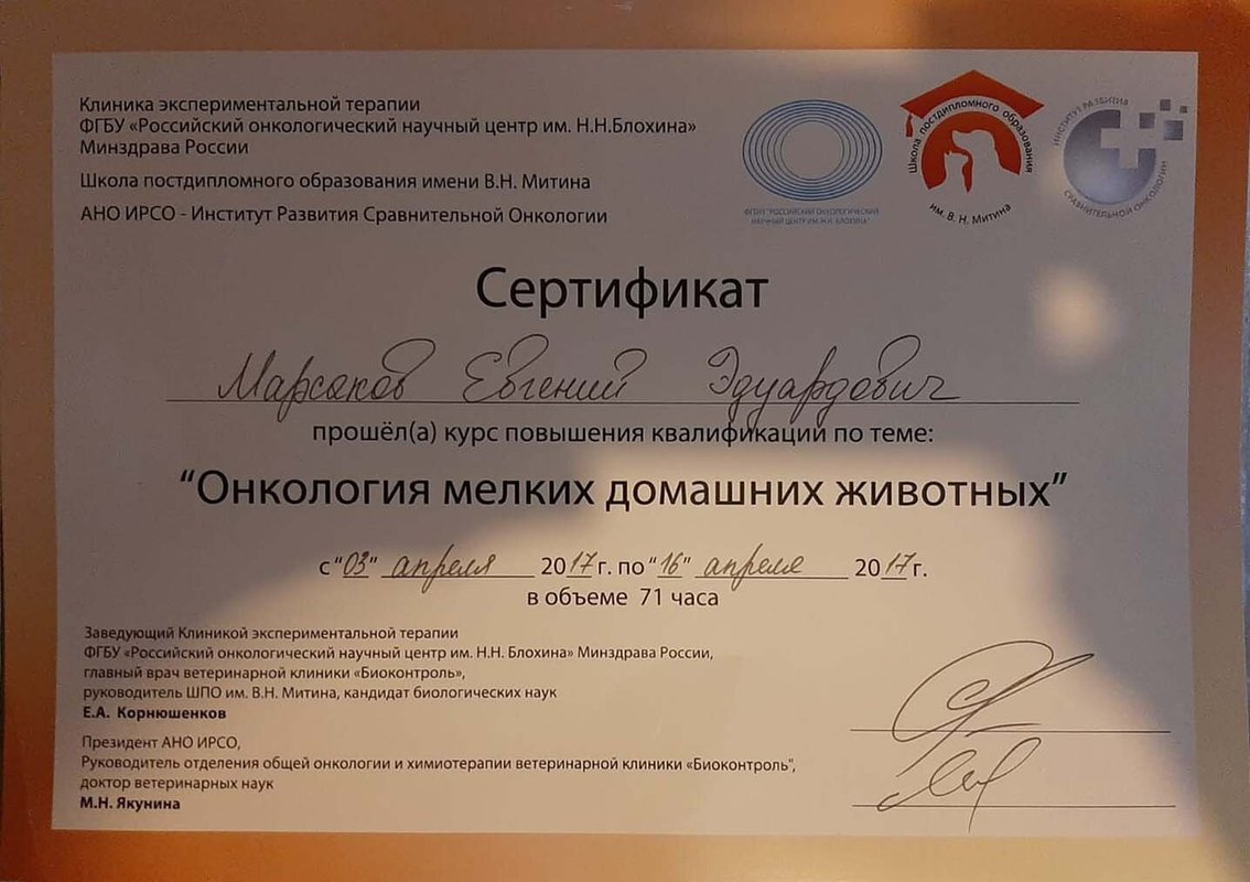 Документ или сертификат