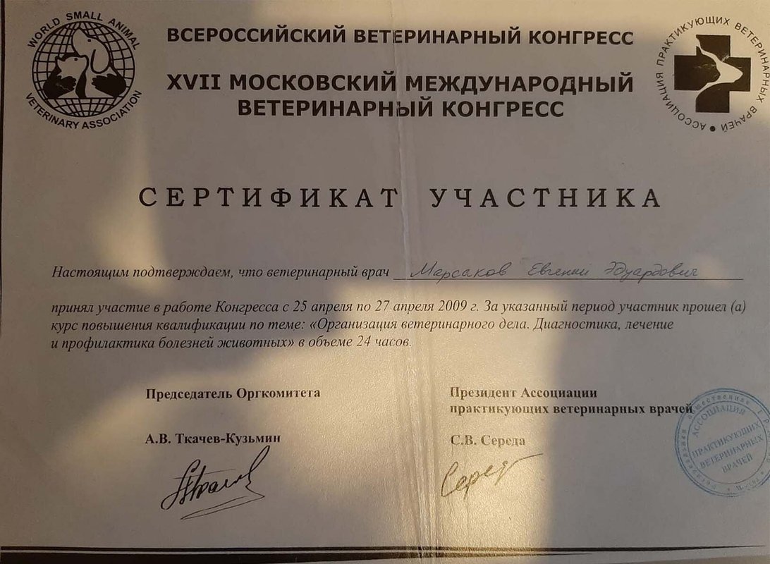 Документ или сертификат