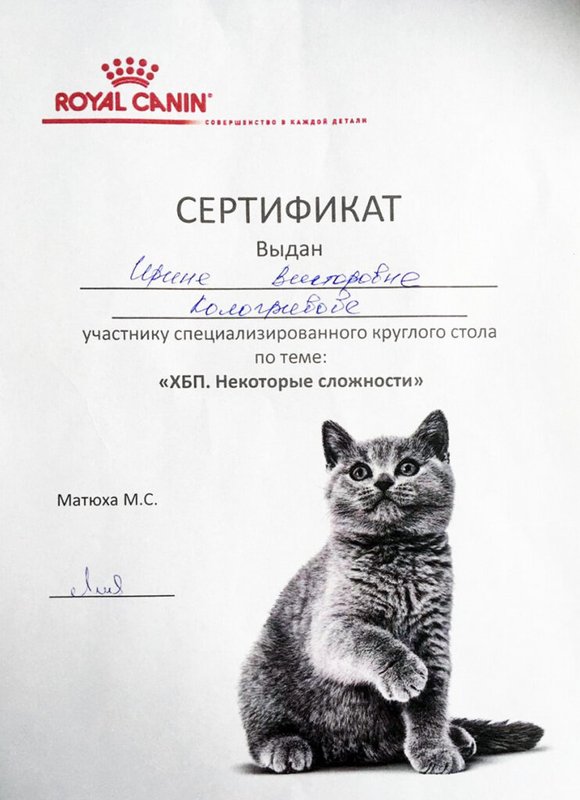 Документ или сертификат