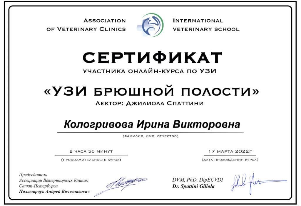 Документ или сертификат