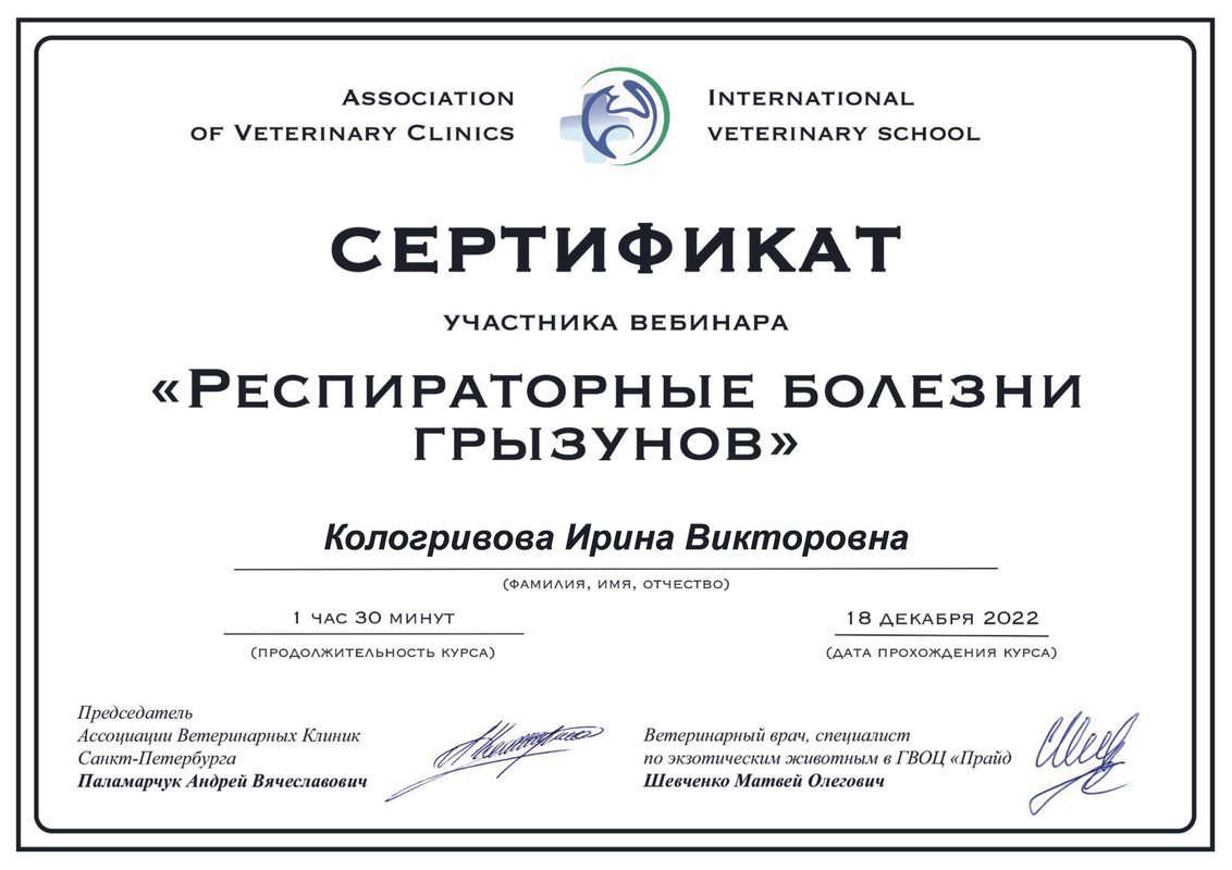 Документ или сертификат