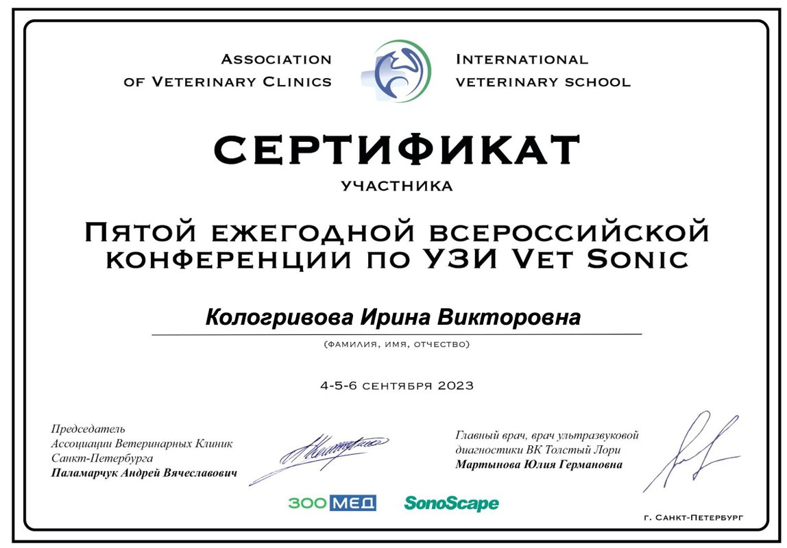Документ или сертификат