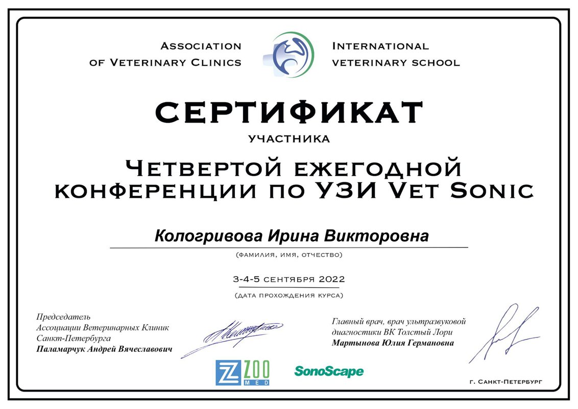 Документ или сертификат