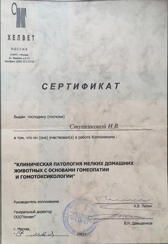 Документ или сертификат