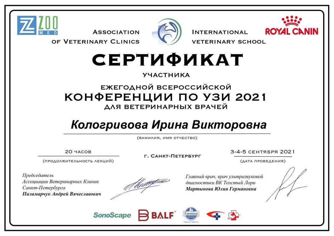 Документ или сертификат