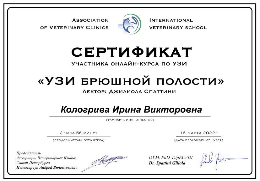 Документ или сертификат