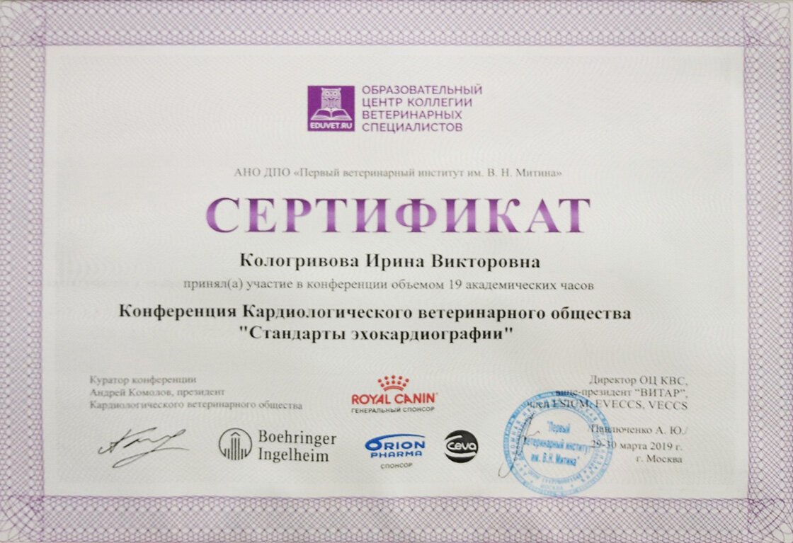 Документ или сертификат