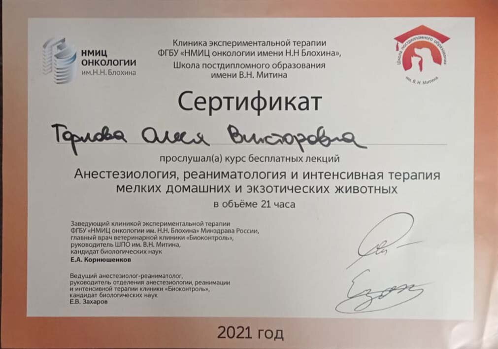 Документ или сертификат