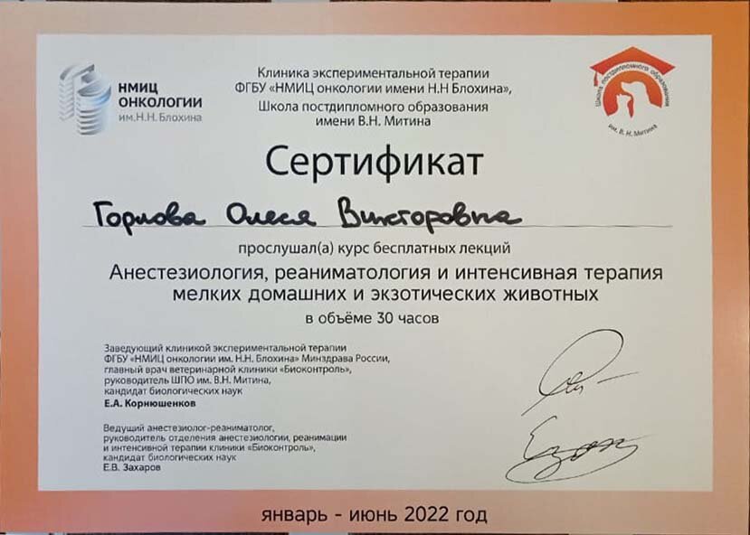 Документ или сертификат