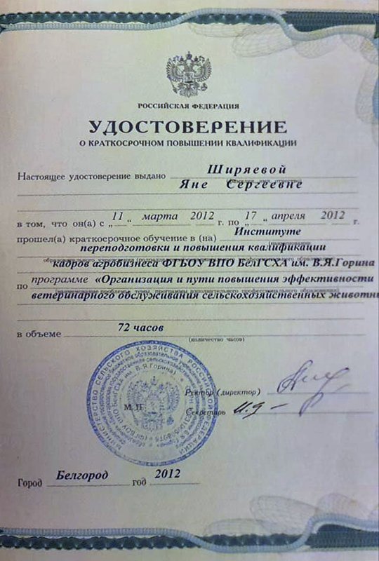 Документ или сертификат