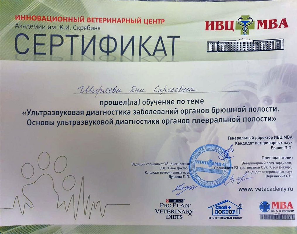 Документ или сертификат
