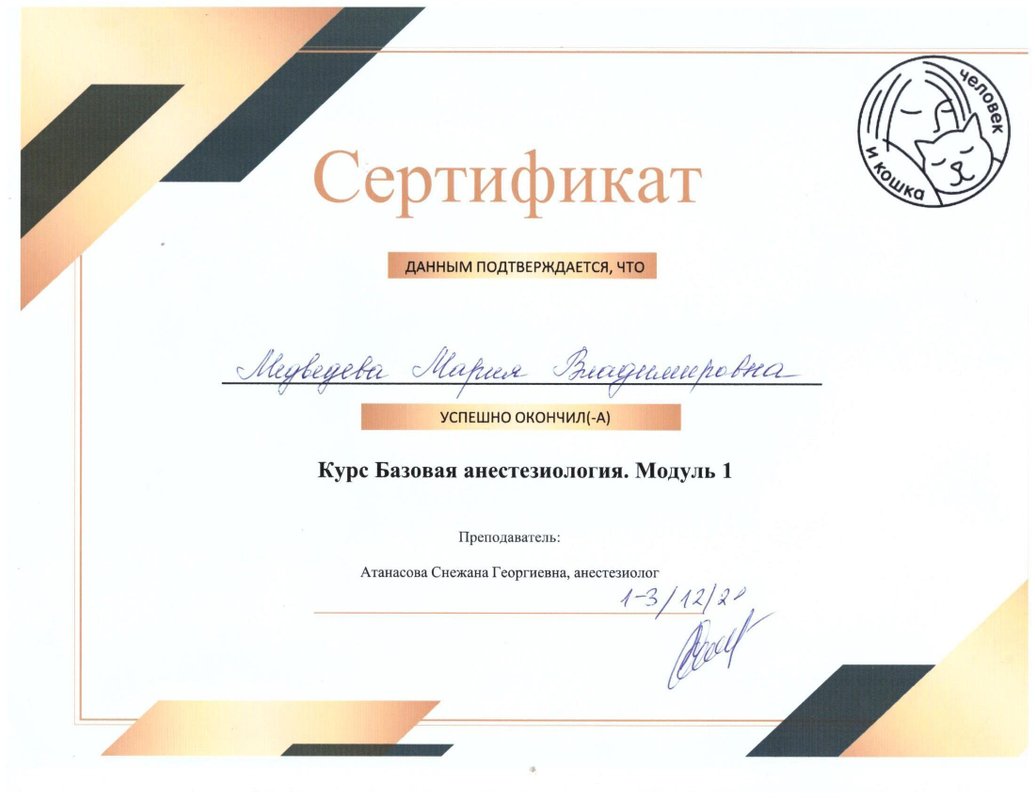 Документ или сертификат