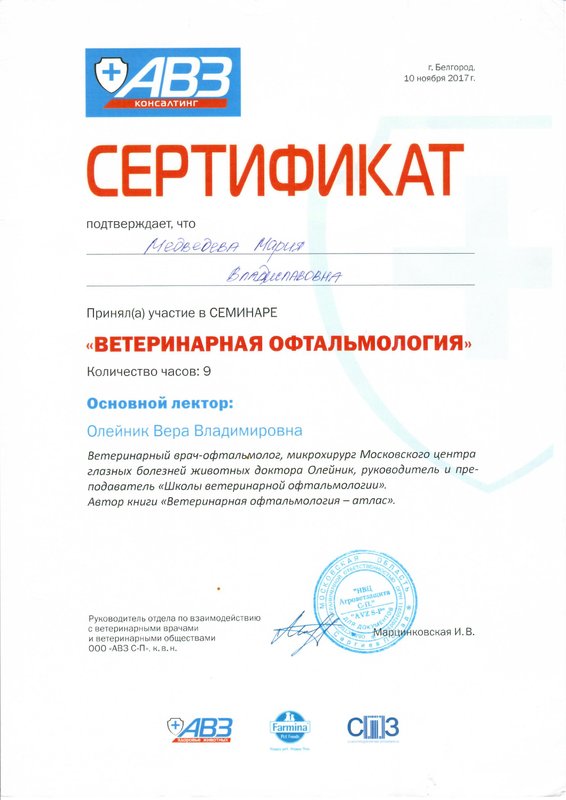 Документ или сертификат