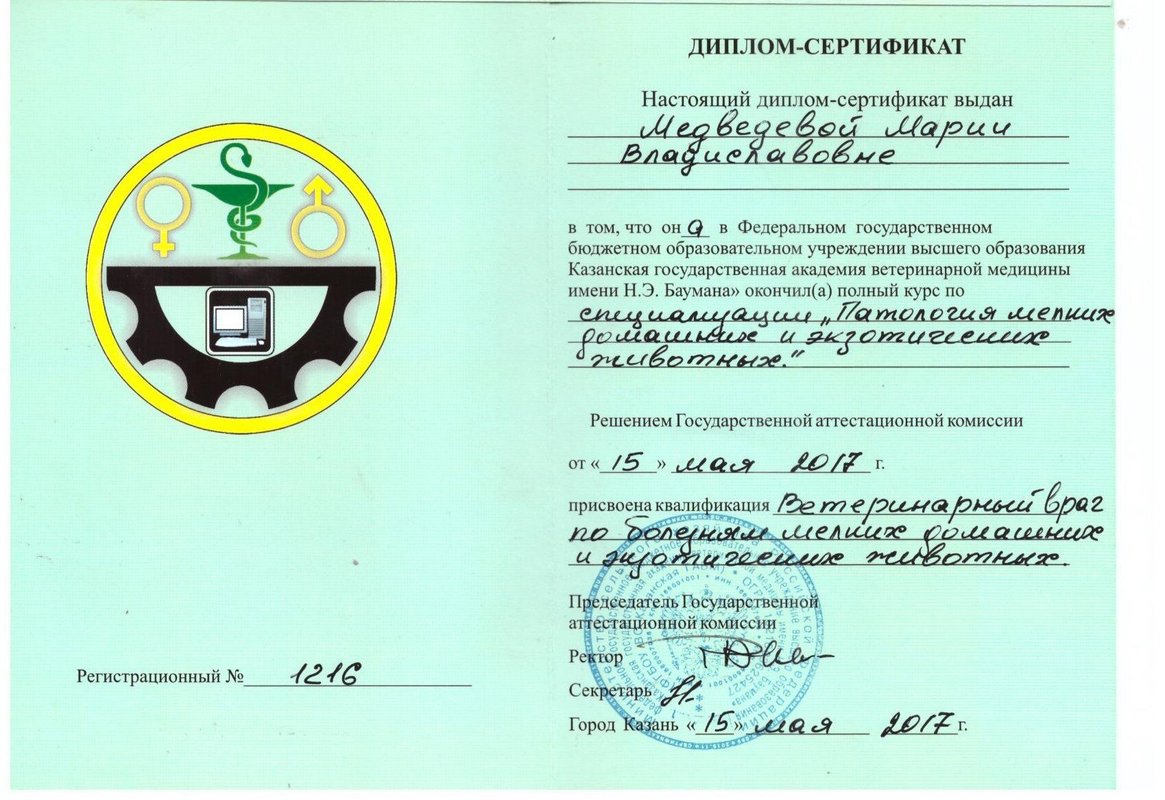 Документ или сертификат
