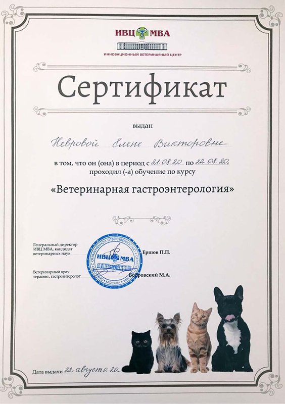Документ или сертификат