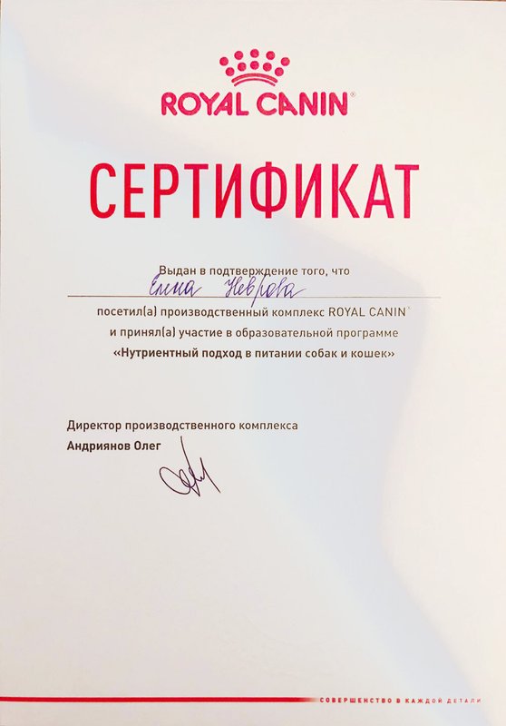 Документ или сертификат