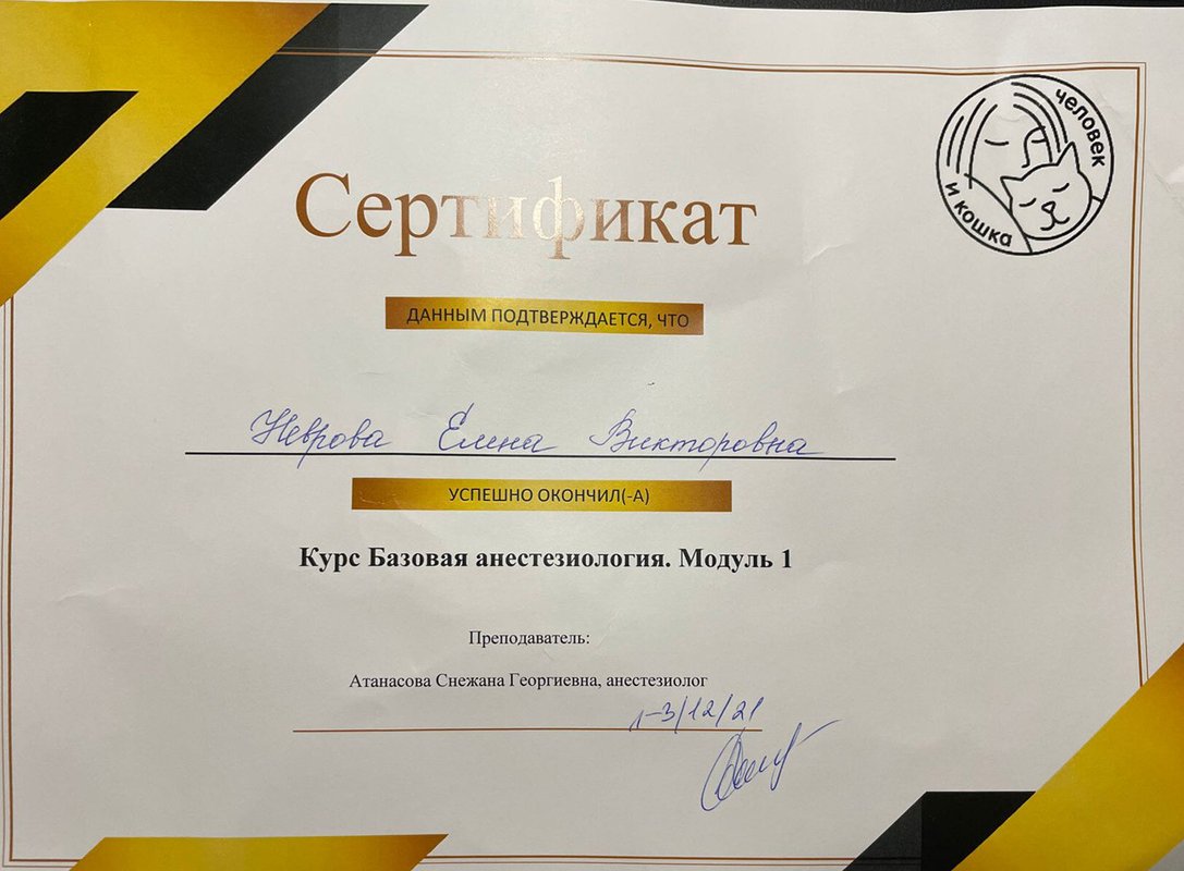 Документ или сертификат