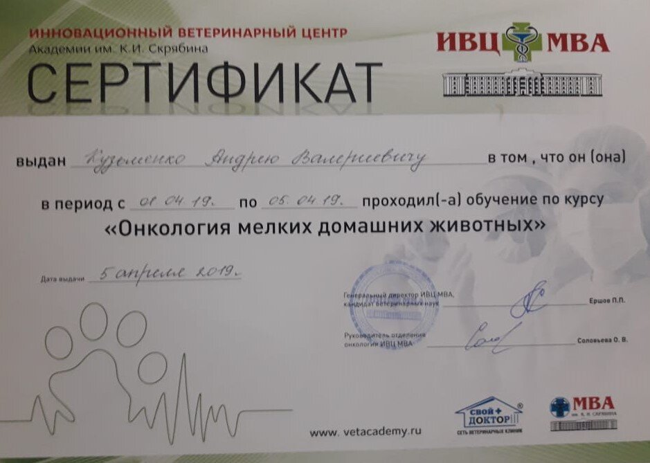 Документ или сертификат