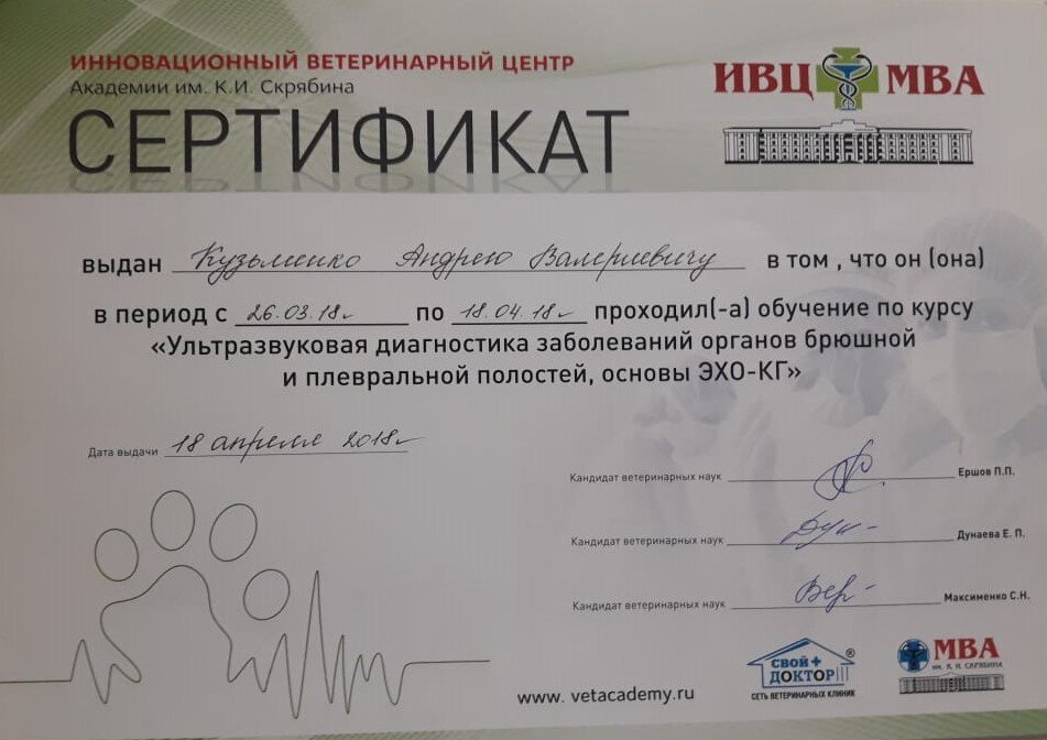 Документ или сертификат