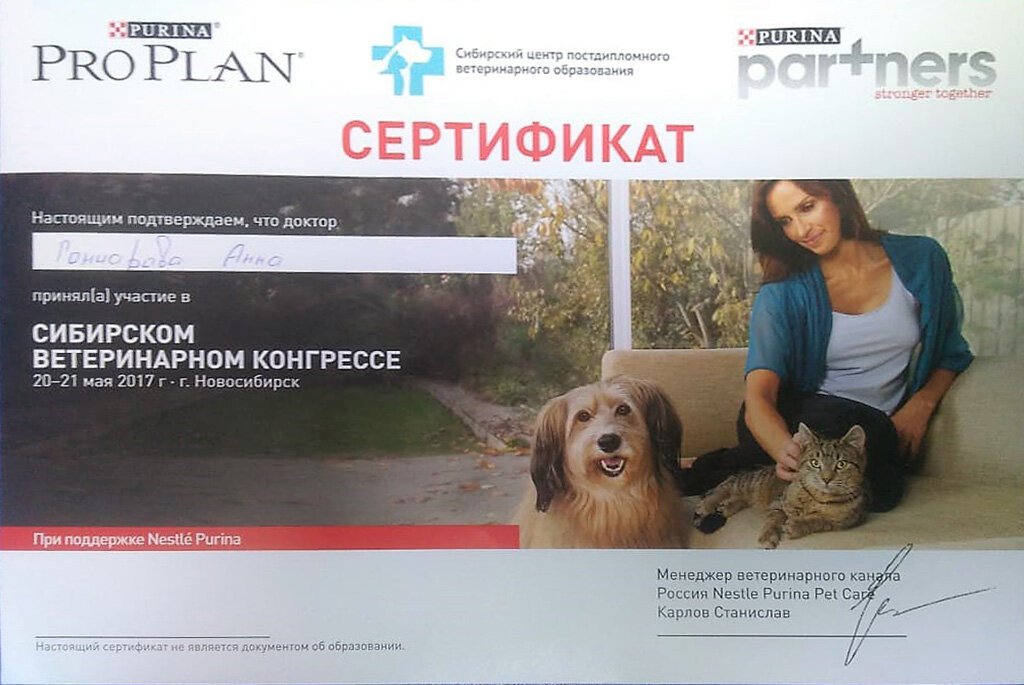 Документ или сертификат
