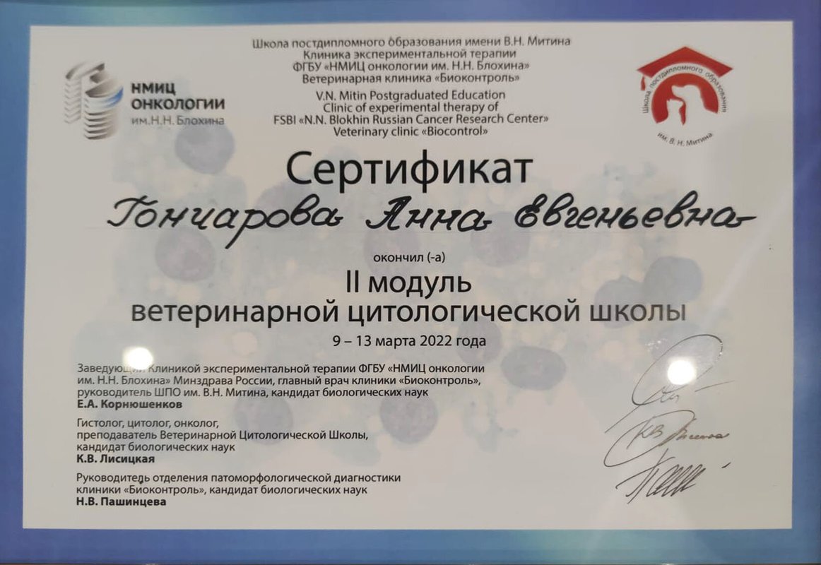 Документ или сертификат