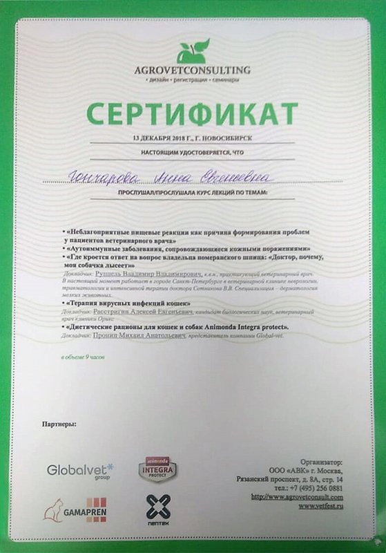 Документ или сертификат