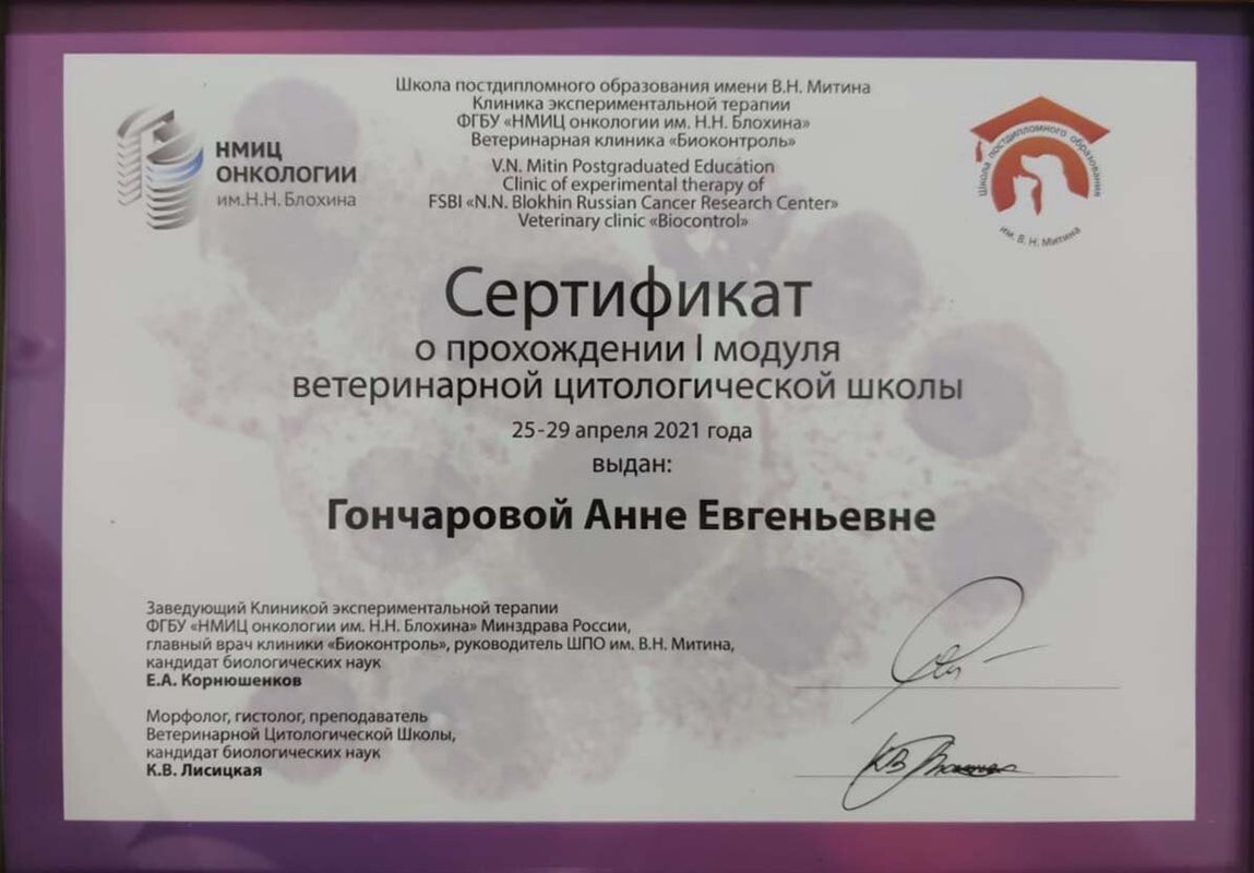 Документ или сертификат