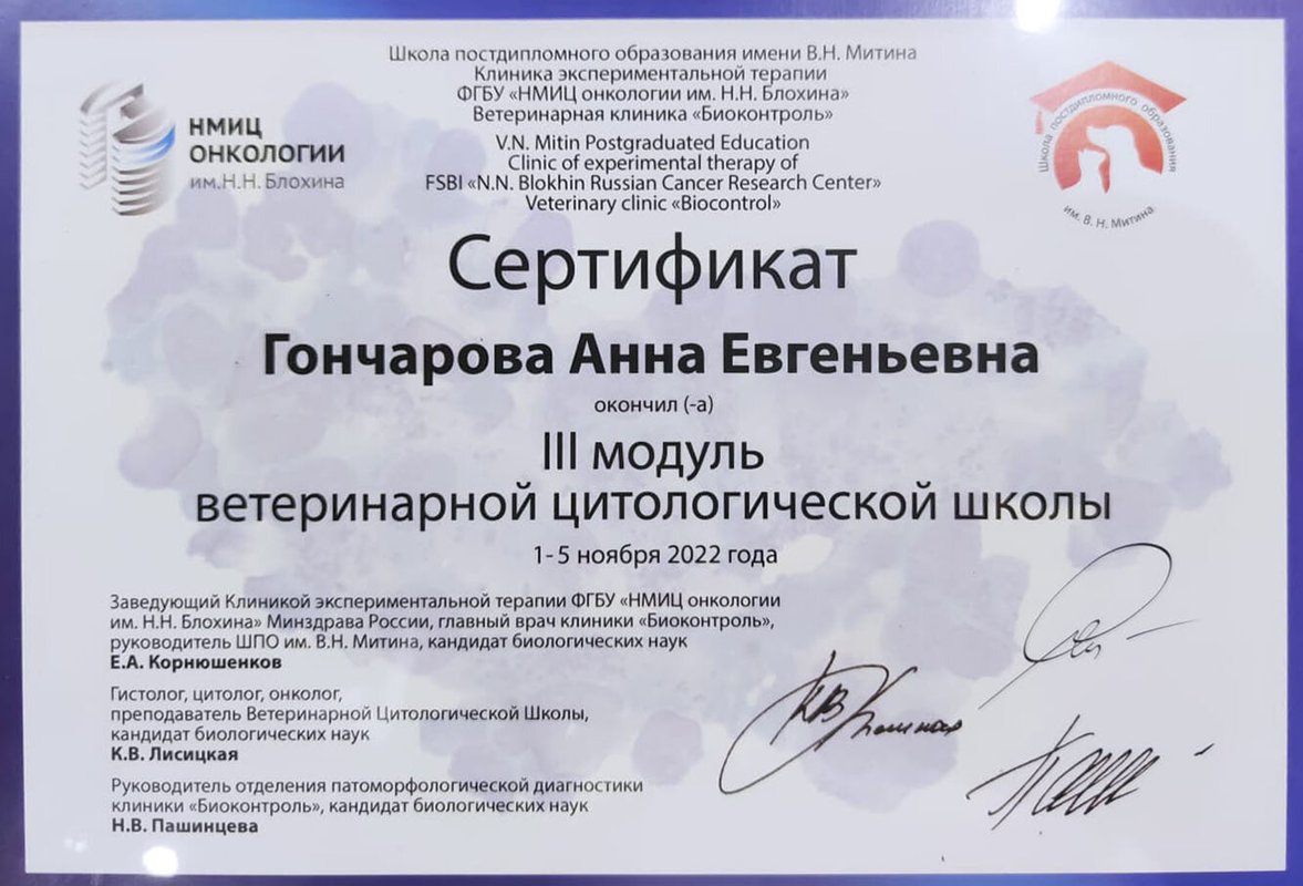 Документ или сертификат