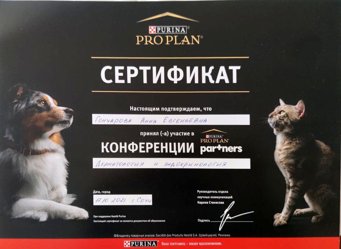 Документ или сертификат