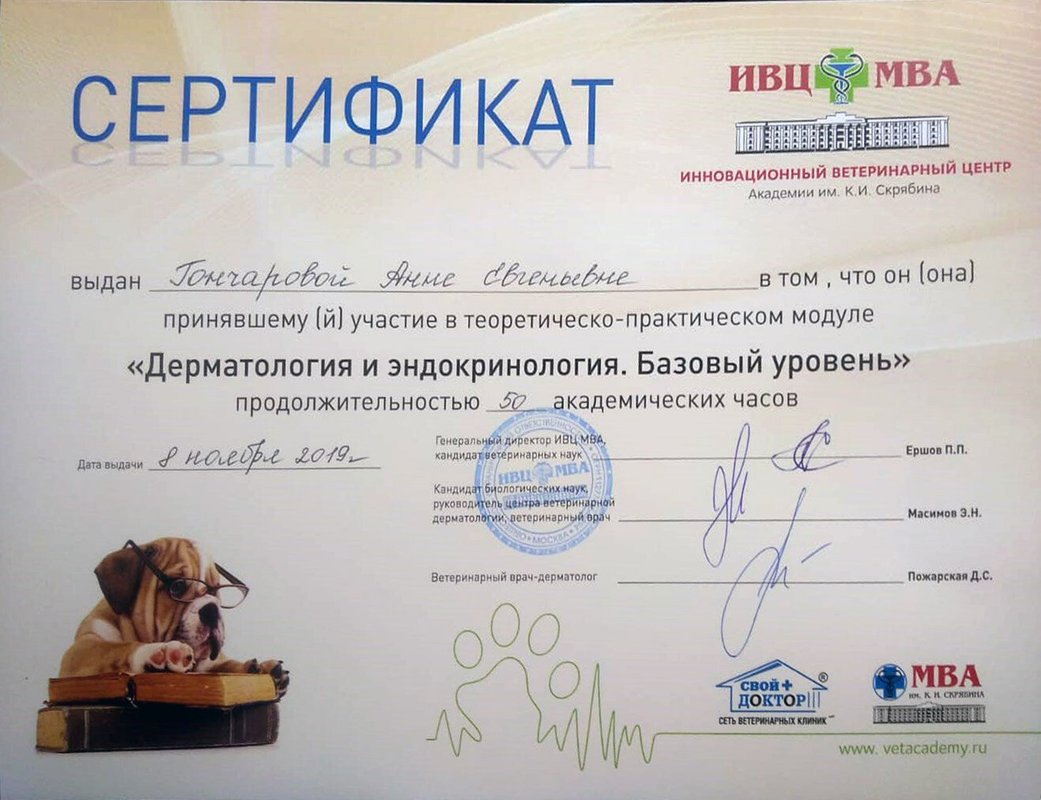 Документ или сертификат