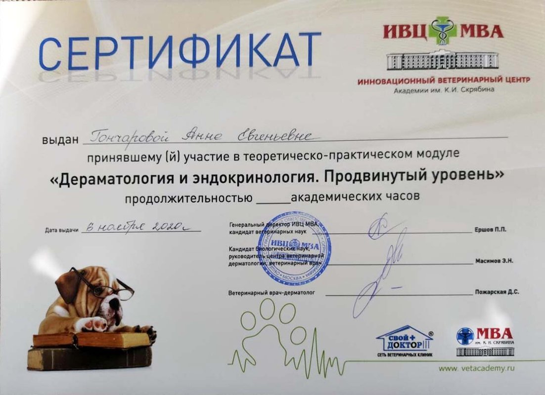 Документ или сертификат