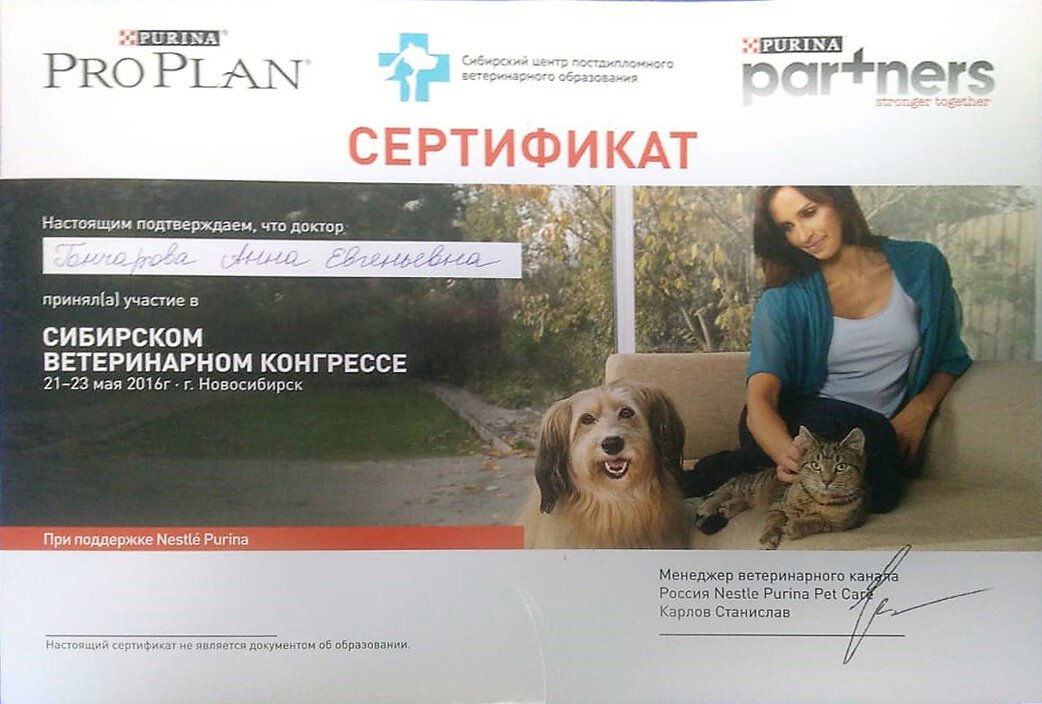 Документ или сертификат